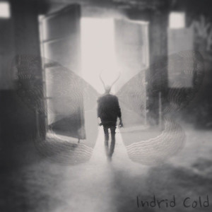 indrid cold cover